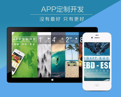 從零到一 母嬰類App的網站建設與跨境電商開發指南——以臨沂市場為例